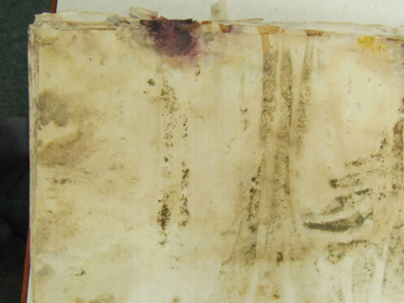 degradation biologique archive reisswolf