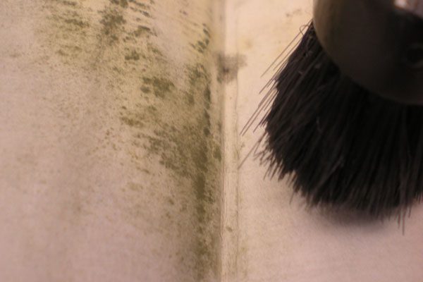 comment depoussierer archives reisswolf